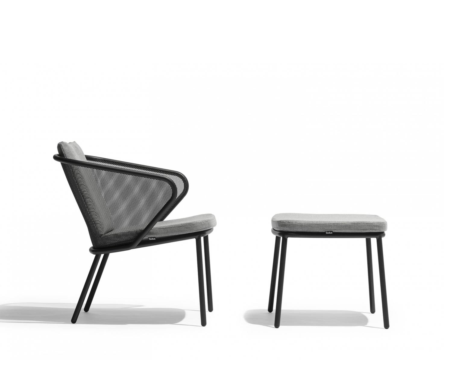 Fauteuil de salon design de haute qualité Todus Condor avec rembourrage en anthracite