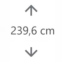 H 239,6 cm