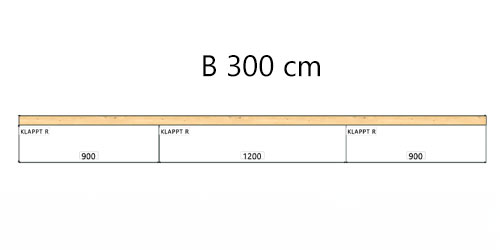 B 300 cm