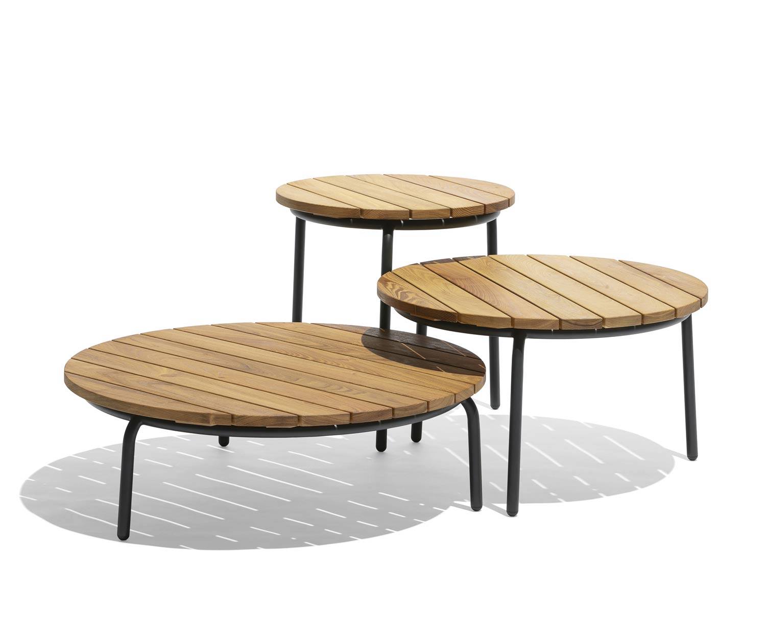 Exclusif Todus Starling Table d'appoint avec plateau en acacia
